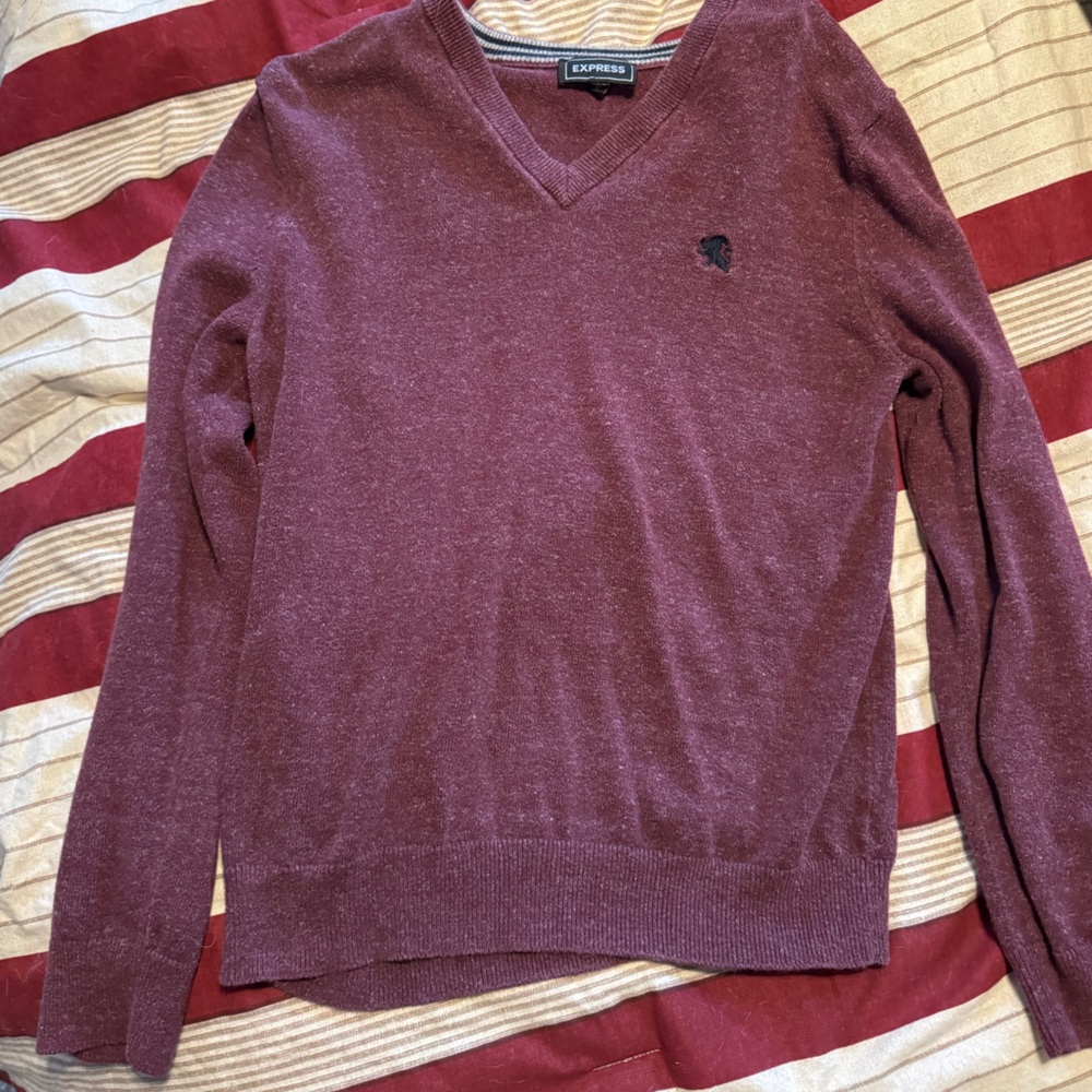 Express Maroon V-Neck Sweater